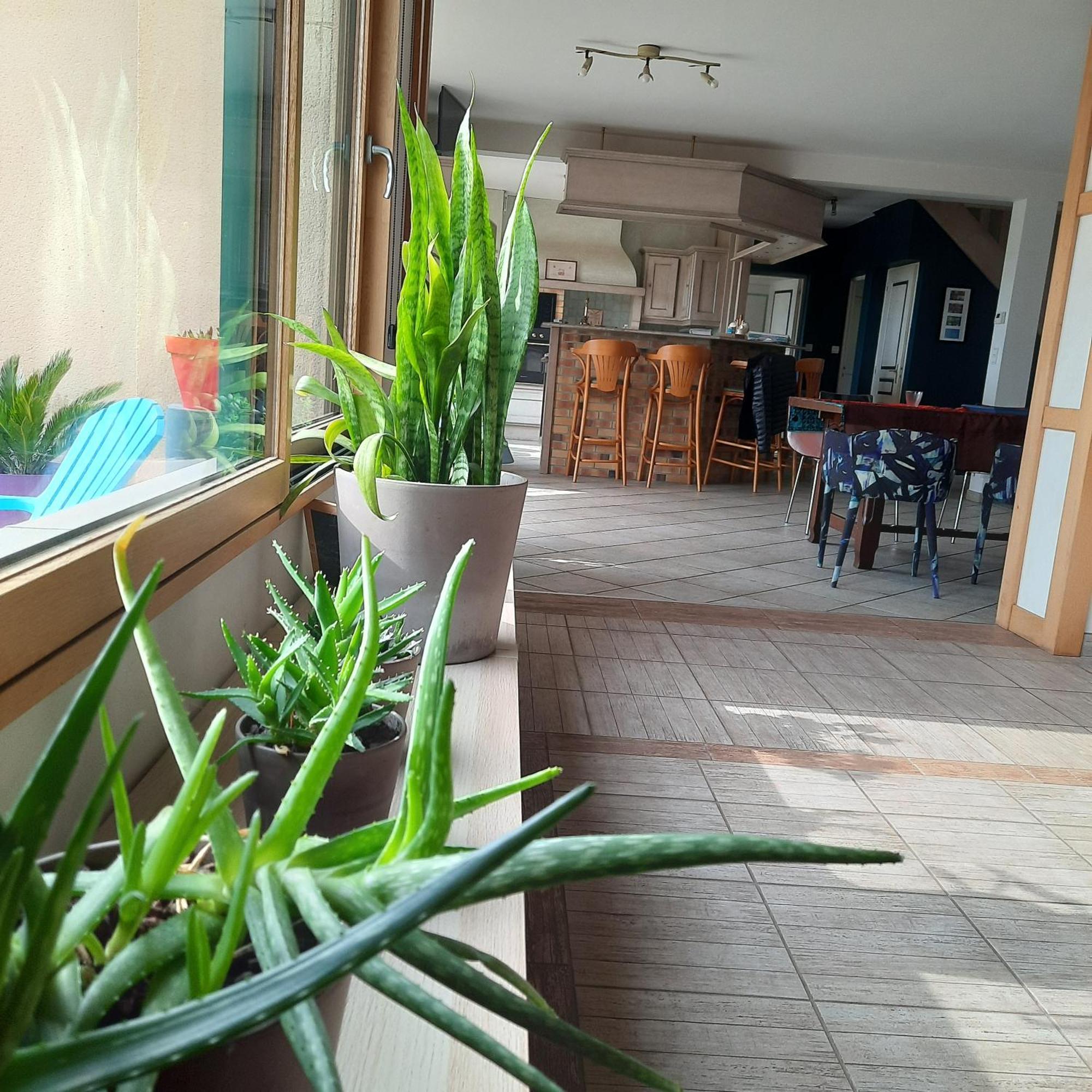 Saint-Pois Magnifique Villa Avec Piscine Interieure מראה חיצוני תמונה